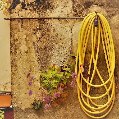 Casa Douro * Santiago de Compostela